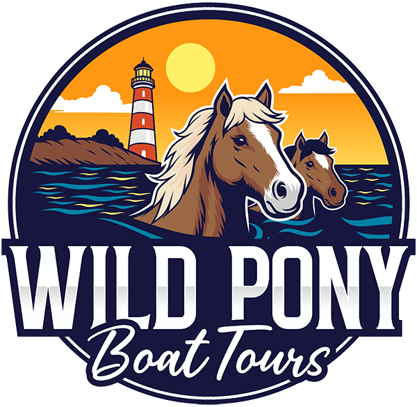 Barnacle Bill's Wild Pony Boat Tours logo