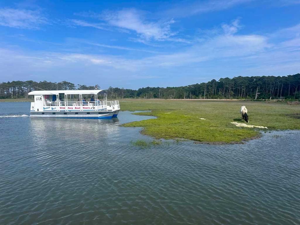chincoteague-boat-tour