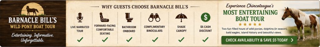 Chincoteague Boat Tour Comparison Chart