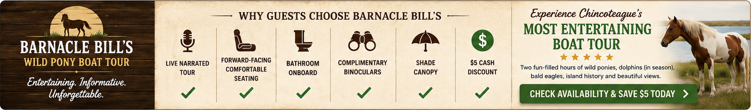 Chincoteague Boat Tour Comparison Chart