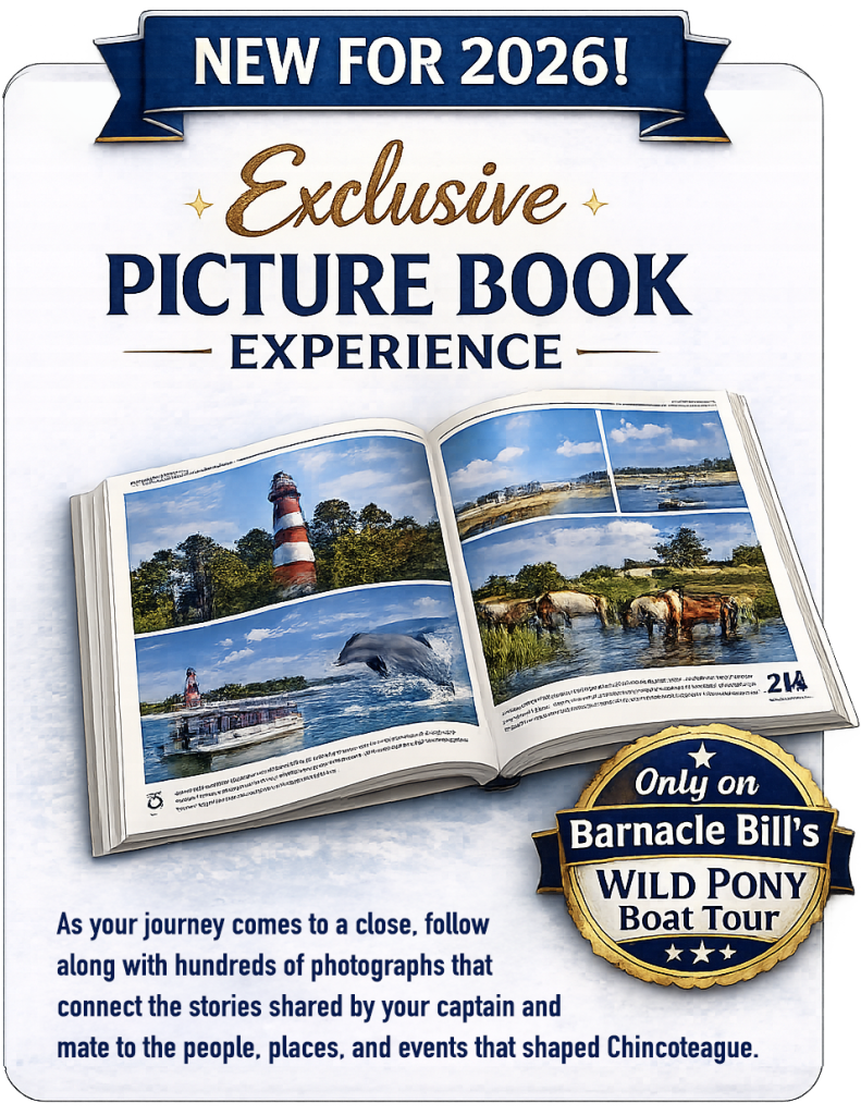 Barnacle Bill's Wild Pony Picturebook