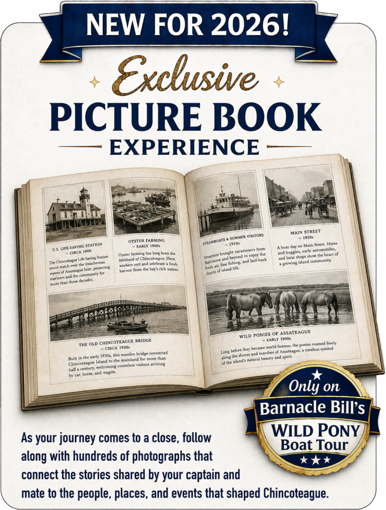 Barnacle Bill's Wild Pony Picturebook