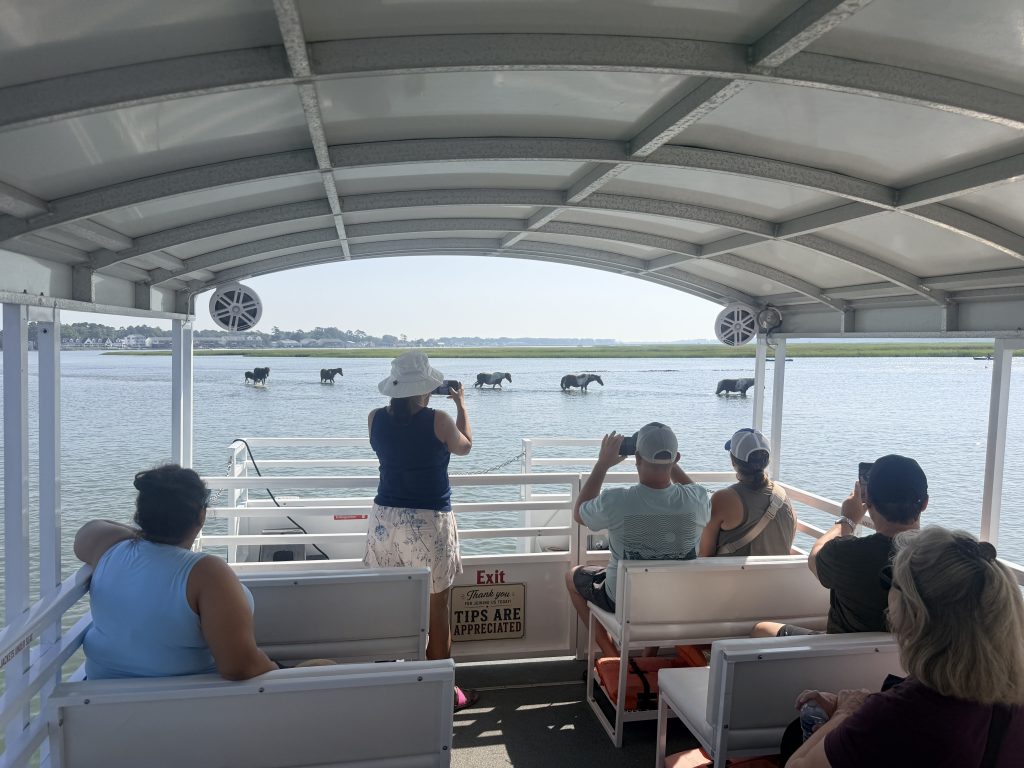 Narrated Wild Pony Boat Tour on Chincoteague