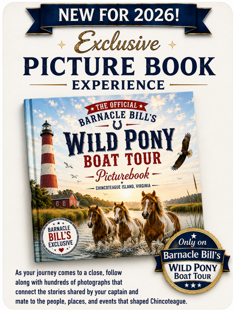 Barnacle Bill's Wild Pony Boat Tour Picturebook